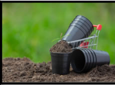 Soil Tests